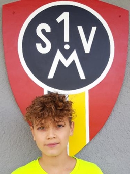 Avatar Bild für Sehic Al Dino