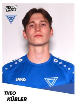 Avatar Bild für Theo Noel Kübler