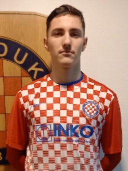 Avatar Bild für Vlado Barbaric