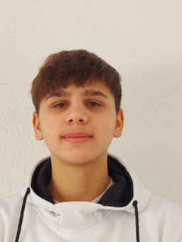 Avatar Bild für Mirnis Mazreku