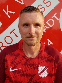 Avatar Bild für David Ely