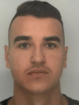 Avatar Bild für Denis Bubalo