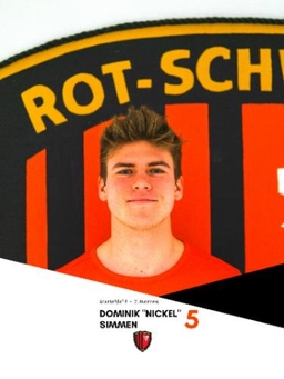 Avatar Bild für Dominik Simmen