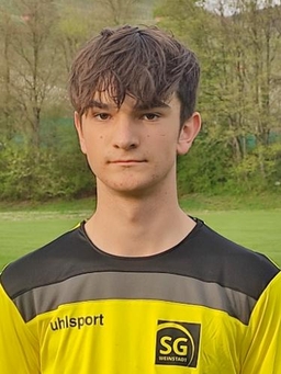 Avatar Bild für Frieder Illenberger