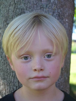 Avatar Bild für Anton Schmitt-Glorius