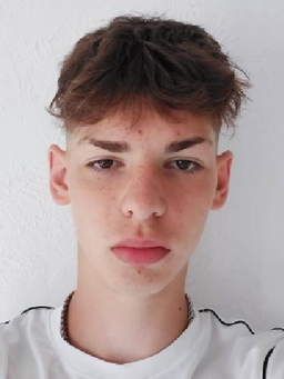 Avatar Bild für Albert Vasile