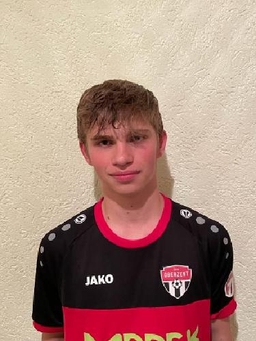 Avatar Bild für Henry Schwinn