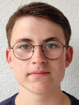 Avatar Bild für Nils Wahl