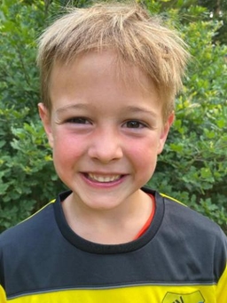Avatar Bild für Linus Heimann