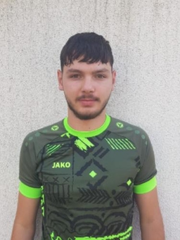 Avatar Bild für Renaldo Trauner