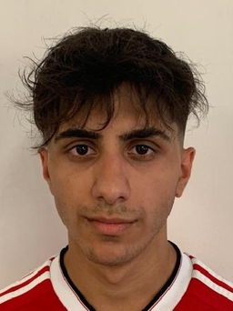 Avatar Bild für Domenico Marino