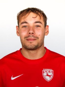 Avatar Bild für Giuliano de Flaviis