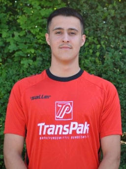 Avatar Bild für Niko Ivanovic Lamarra