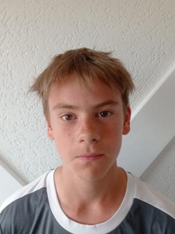 Avatar Bild für Aron Linnemann