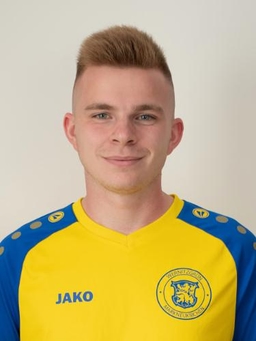 Avatar Bild für Vincent Henkel