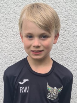 Avatar Bild für Rafael Walther