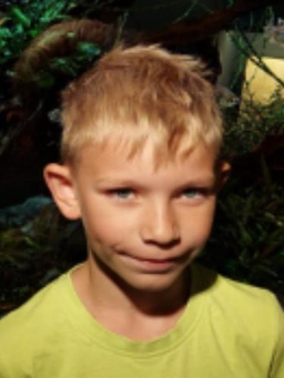 Avatar Bild für Max-Florian Ostrowski