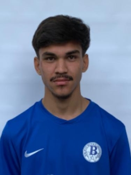 Avatar Bild für Mahmood Bahashahi