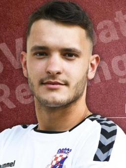 Avatar Bild für Tomislav Miglinski