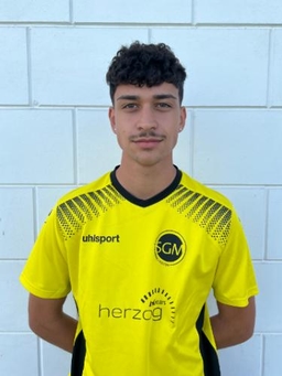 Avatar Bild für Alessandro Giuffrida
