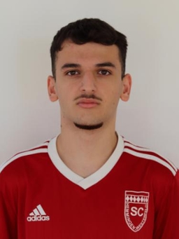 Avatar Bild für Florent Kolgeci