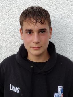 Avatar Bild für Linus Strähle