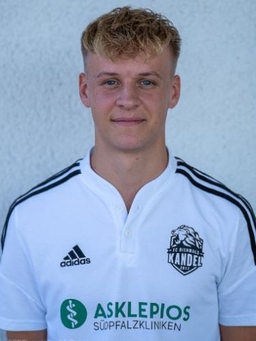 Avatar Bild für Louis Spielmann