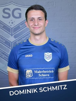 Avatar Bild für Dominik Schmitz