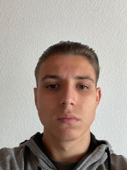 Avatar Bild für Arton Gashi