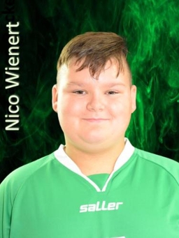 Avatar Bild für Nico Wienert