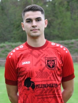 Avatar Bild für Luis Dichiser