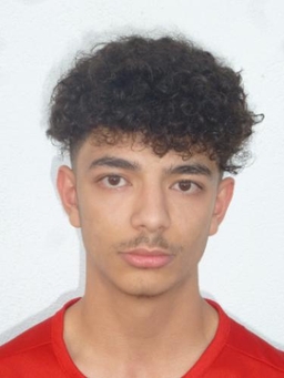 Avatar Bild für Ayaz Gankeer