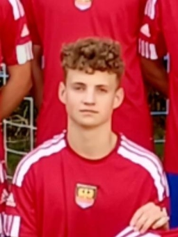 Avatar Bild für Luca Utzelmann