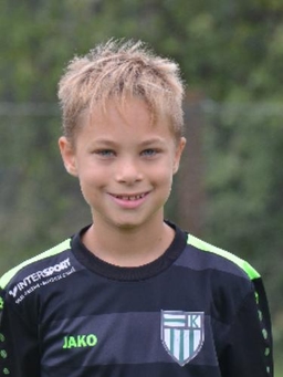 Avatar Bild für Henry Sieg
