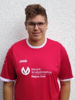 Avatar Bild für Leo Springindschmitten