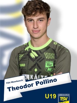 Avatar Bild für Theodor Domenico Pollino