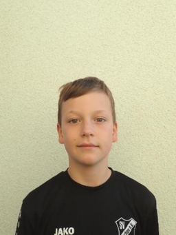 Avatar Bild für Dominik Tollert