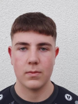 Avatar Bild für Nikita Schechtel