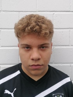 Avatar Bild für Marcello Cuocci