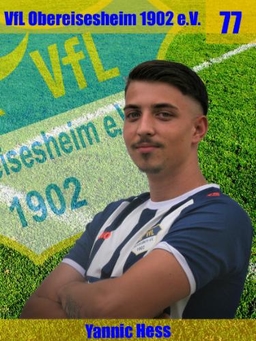 Avatar Bild für Yannic Hess