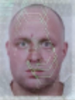 Avatar Bild für Martin Kwast