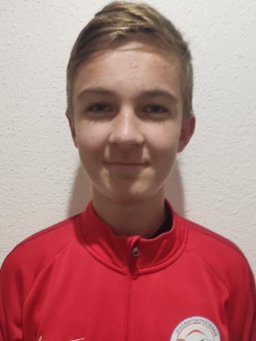 Avatar Bild für Niklas Wiederle