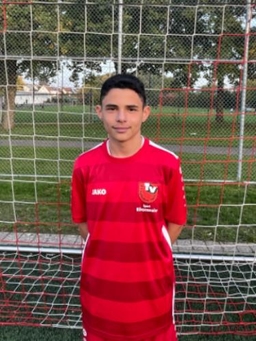 Avatar Bild für Mihajlo Sinadinovic