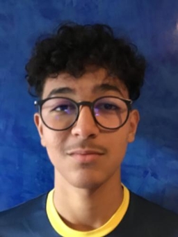 Avatar Bild für Amir Salahi