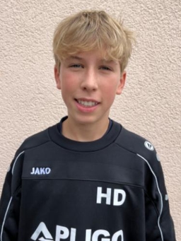 Avatar Bild für Henry Louis Dorman