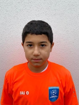 Avatar Bild für Raul Huliiev