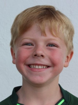 Avatar Bild für Michl Schönfeld