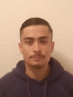 Avatar Bild für Henrique Araujo da Silva