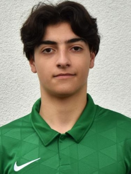 Avatar Bild für Luigi Urzi