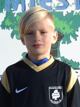 Avatar Bild für Linus Prehm